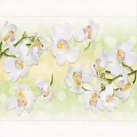 Unique (Уникальные) декоративный потолок Орхидеи 2,5