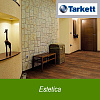 Estetica