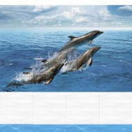 Панель ПВХ Дельфины